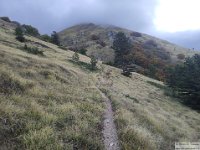 2026-10-24 Il Sassone 028
